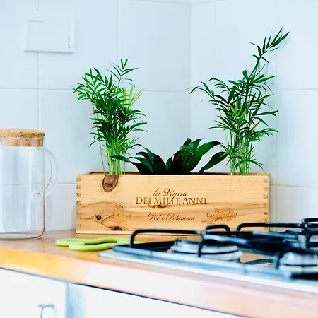 Holiday home Plant House San Paolo *
