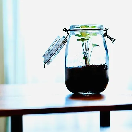 Plant House San Paolo Дом отдыха *
